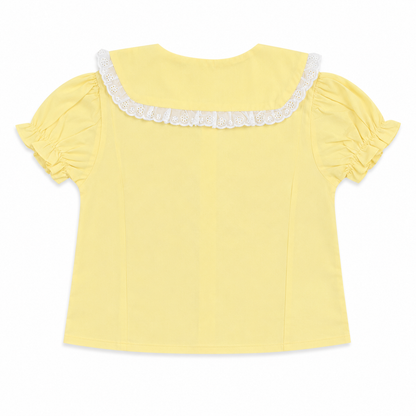 Embroidery Collar Top