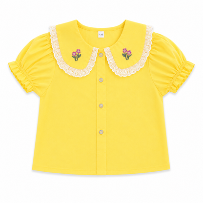 Embroidery Collar Top