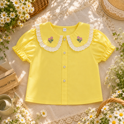 Embroidery Collar Top