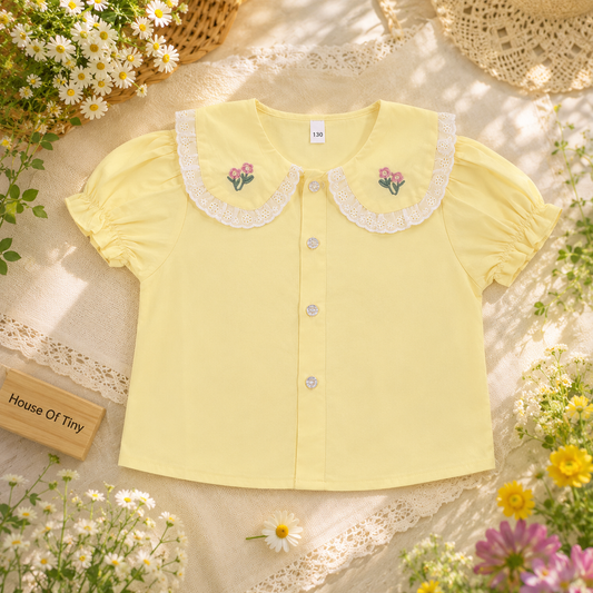 Embroidery Collar Top