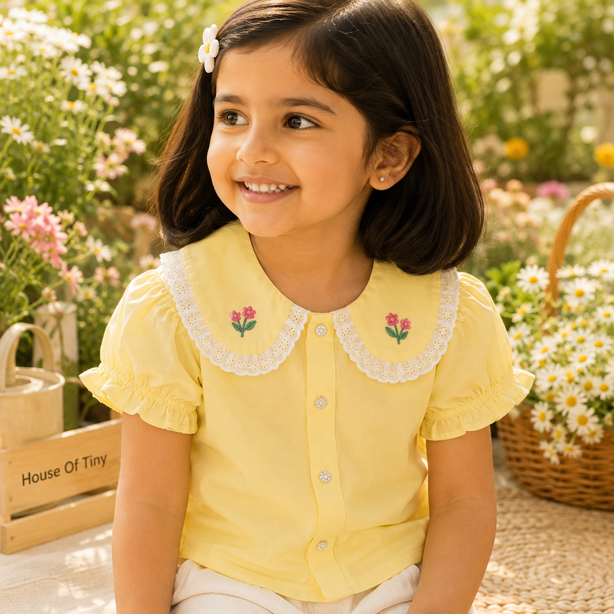 Embroidery Collar Top