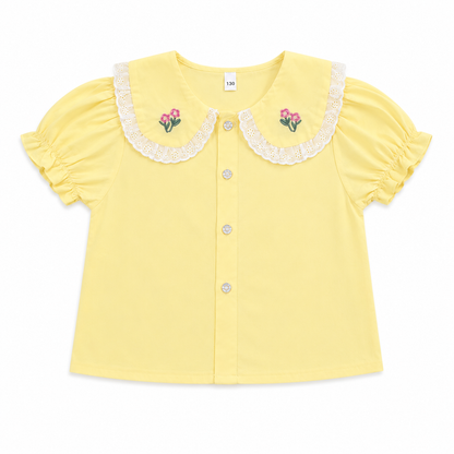 Embroidery Collar Top